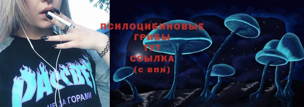 дживик Абаза