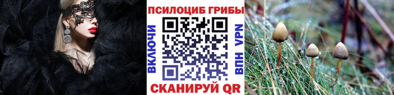 хочу наркоту Исилькуль Галлюциногенные грибы мухоморы